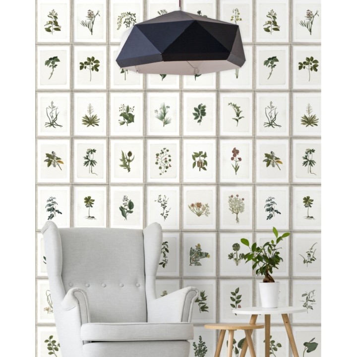 Papel pintado cuadros de libro de botánica - Botanic Book 127927