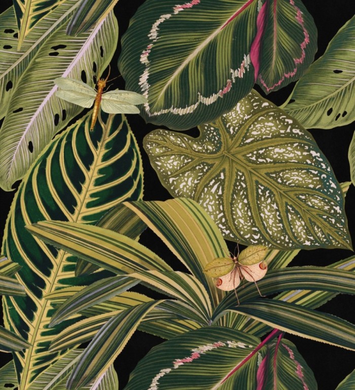 Papel pintado hojas grandes fondo negro estilo tropical - Inchis Leaves 127930