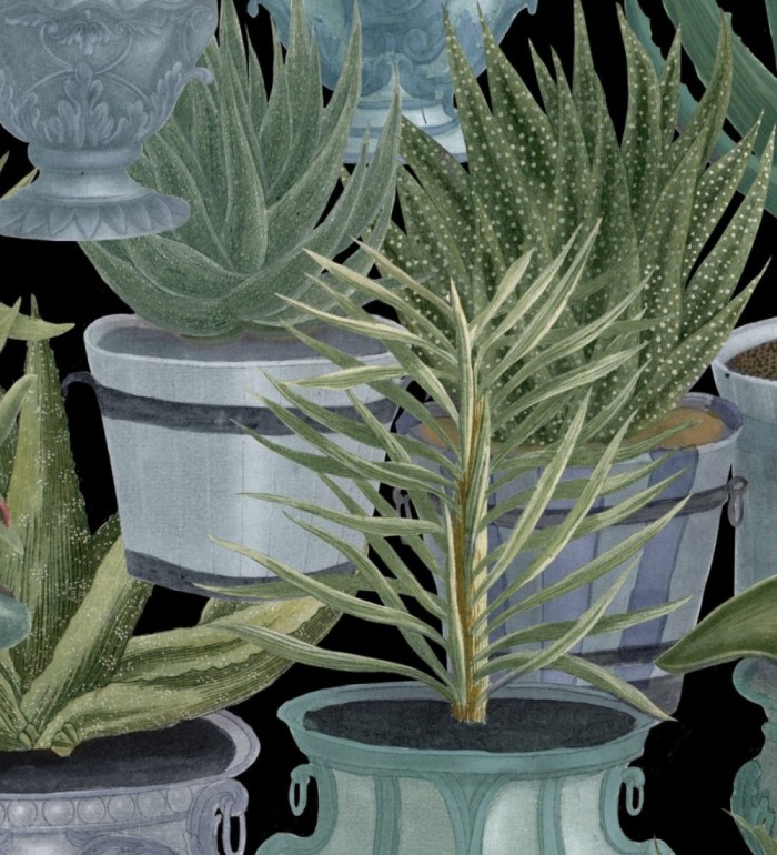 Papel pintado macetas grandes de cactus - Gradinari 127934