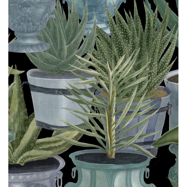 Papel pintado macetas grandes de cactus - Gradinari 127934