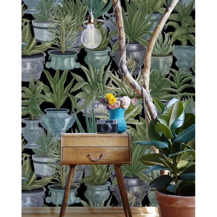 Papel pintado macetas grandes de cactus - Gradinari 127934