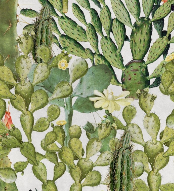 Papel pintado cactus fondo blanco - Spike Bloom 127937