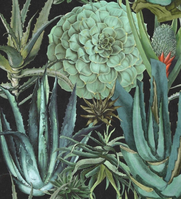 Papel pintado jardín mexicano con ágave fondo negro - Tijuana Garden 127938