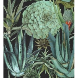 Tijuana Garden 127938