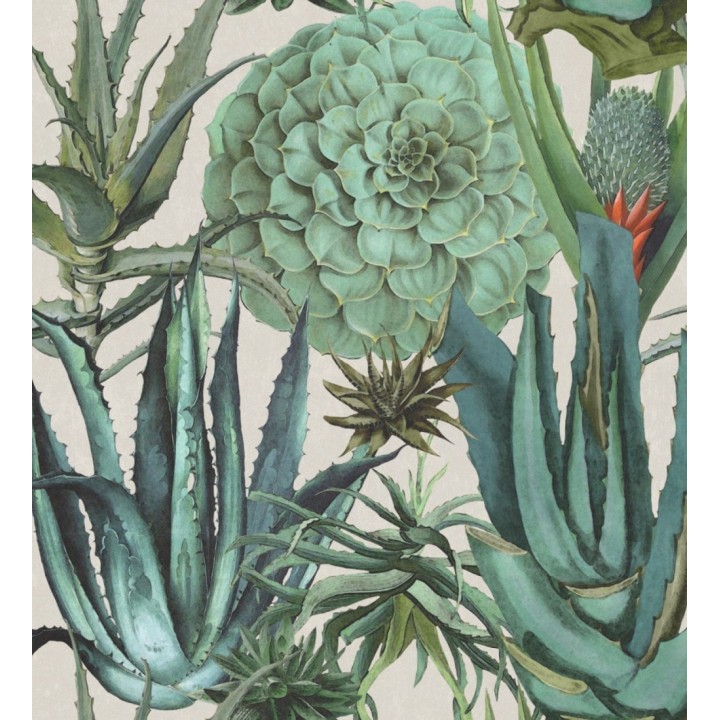 Papel pintado jardín mexicano con ágave fondo claro - Tijuana Garden 127939