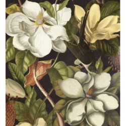 Papel pintado Mila Bloom 127942