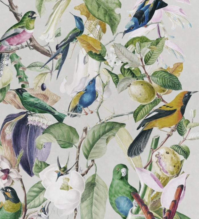 Papel pintado pajaritos de colores en ramas - Zia Spring 127943