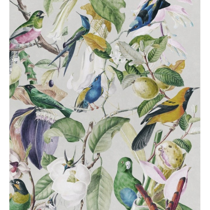 Papel pintado pajaritos de colores en ramas - Zia Spring 127943