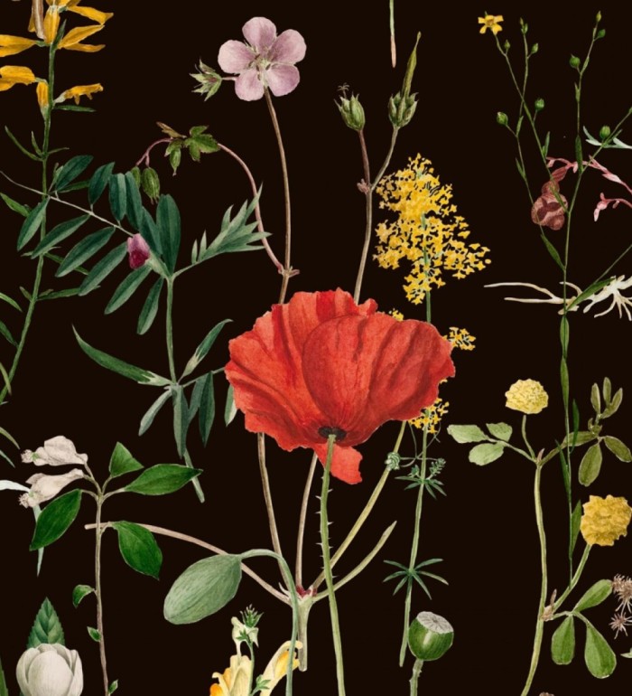 Papel pintado amapolas entre florecillas silvestres fondo oscuro - Maci Blossom 127944