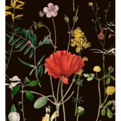 Papel pintado Maci Blossom 127944