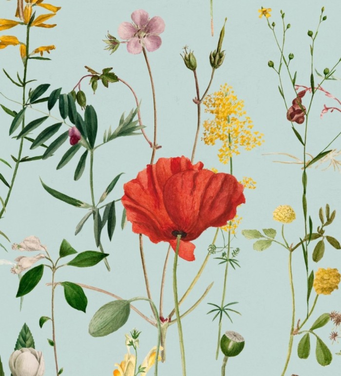 Papel pintado amapolas entre florecillas silvestres fondo verde agua - Maci Blossom 127945