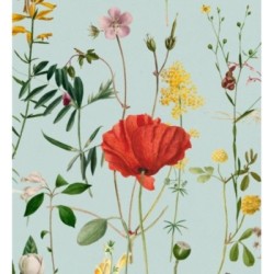 Papel pintado Maci Blossom 127945