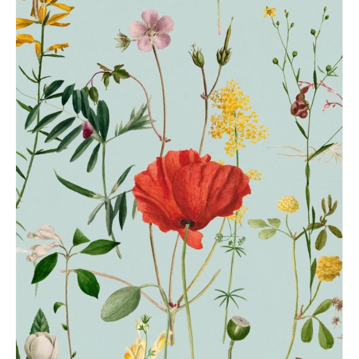 Papel pintado amapolas entre florecillas silvestres fondo verde agua - Maci Blossom 127945