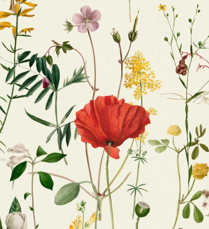 Papel pintado amapolas entre florecillas silvestres fondo claro - Maci Blossom 127946