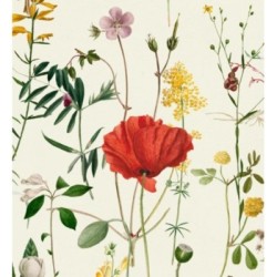 Papel pintado Maci Blossom 127946