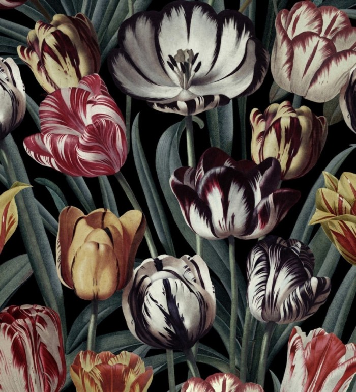 Papel pintado tulipanes de colores - Romanian Tulips 127948