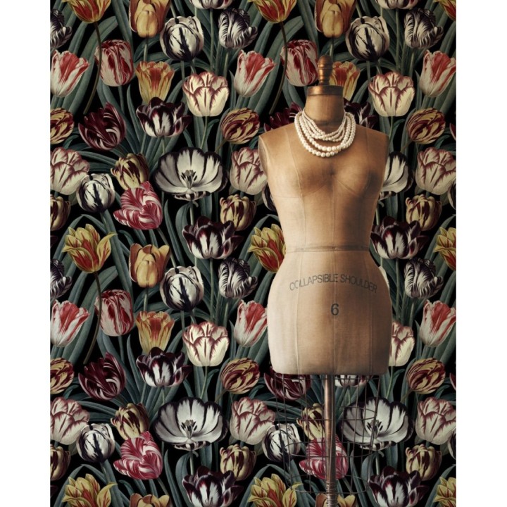 Papel pintado tulipanes de colores - Romanian Tulips 127948