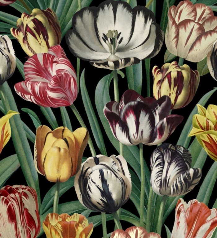 Papel pintado tulipanes de colores - Romanian Tulips 127949