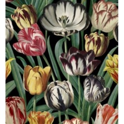Papel pintado Romanian Tulips 127949