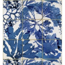 Papel pintado Loira Bay 127950