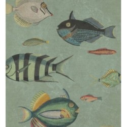Papel pintado Sleep With The Fishes 127952
