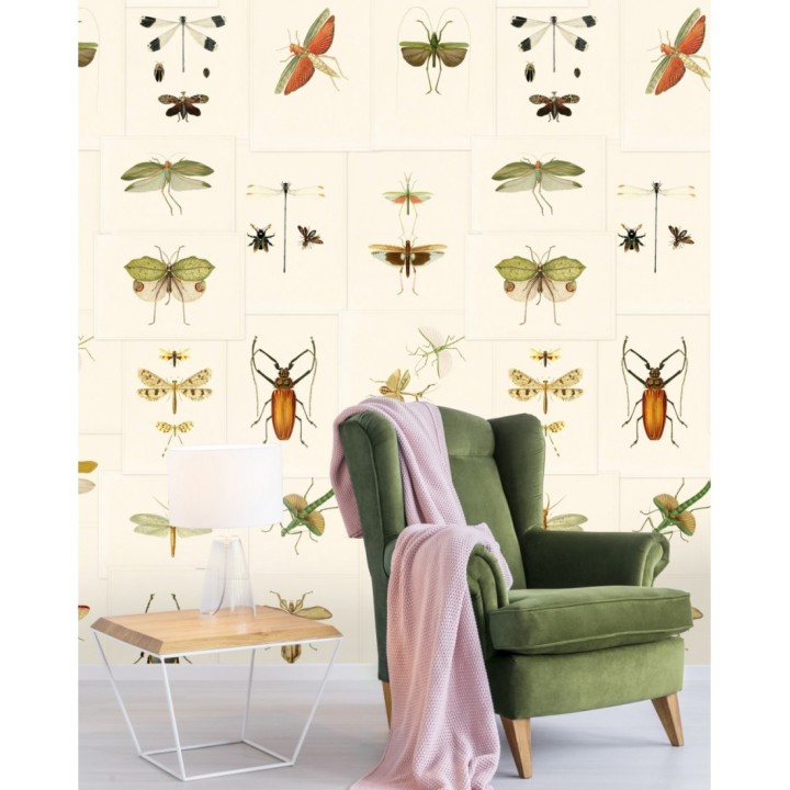 Papel pintado libélulas multicolor - Gregor Dream 128004