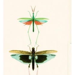 Papel pintado Gregor Dream 128005