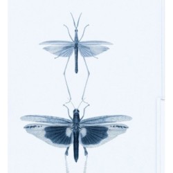 Papel pintado Gregor Dream 128006