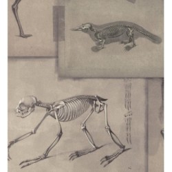 Papel pintado Bad Experiment 128007