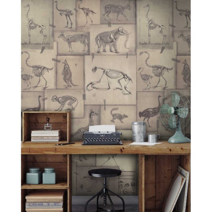 Papel pintado rayos x de animales fondo claro - Bad Experiment 128007