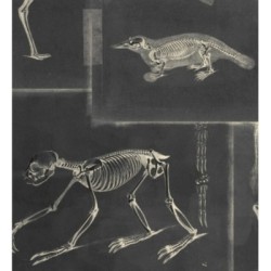 Papel pintado Bad Experiment 128008