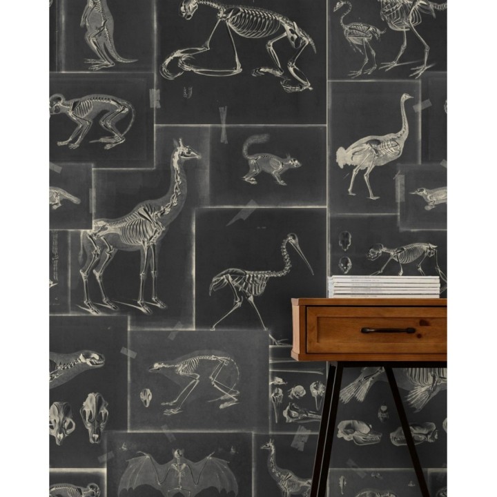 Papel pintado rayos x de animales fondo negro - Bad Experiment 128008