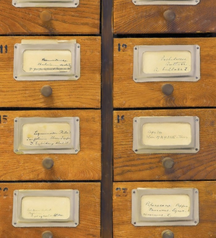 Papel pintado cajetines postales de madera vintage - Sophie Postala 128020