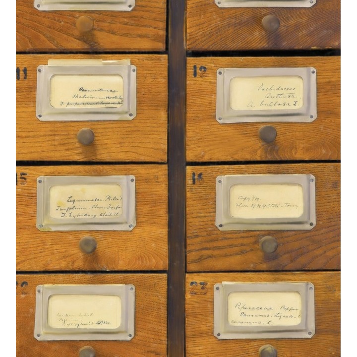 Papel pintado cajetines postales de madera vintage - Sophie Postala 128020