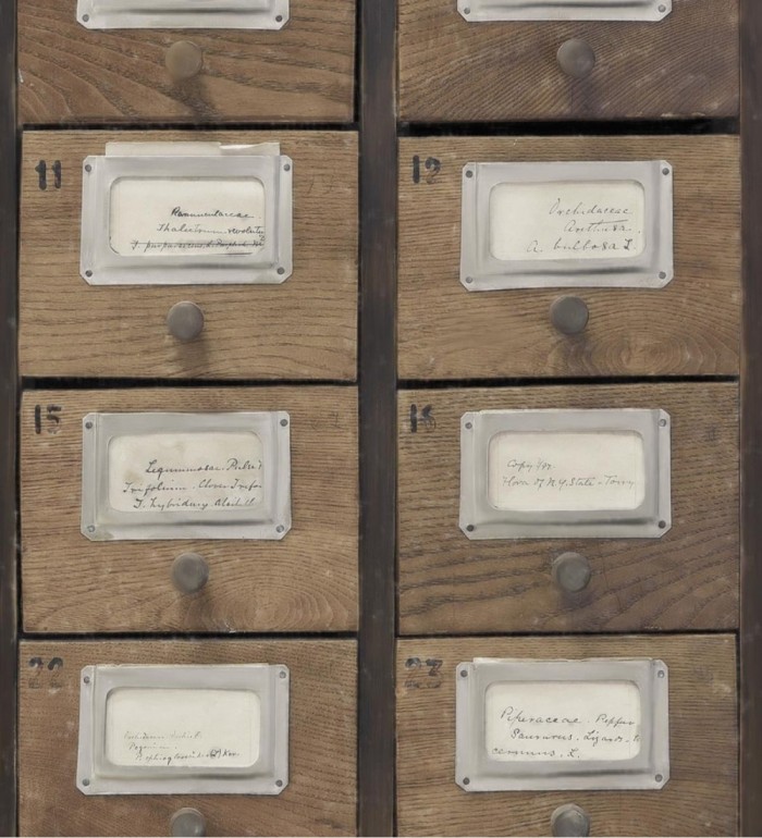 Papel pintado cajetines postales de madera vintage - Sophie Postala 128035