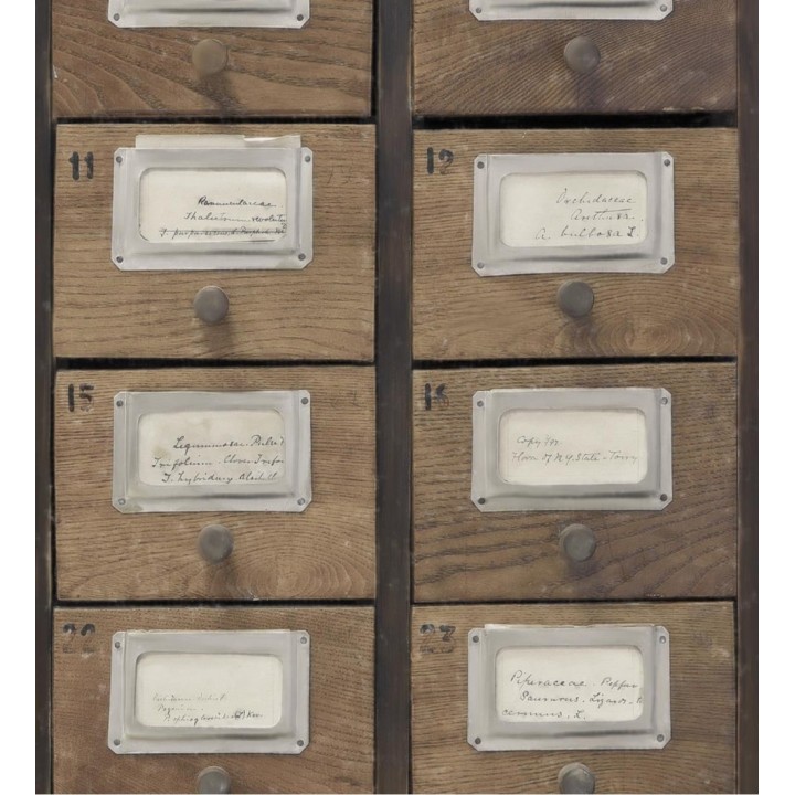 Papel pintado cajetines postales de madera vintage - Sophie Postala 128035