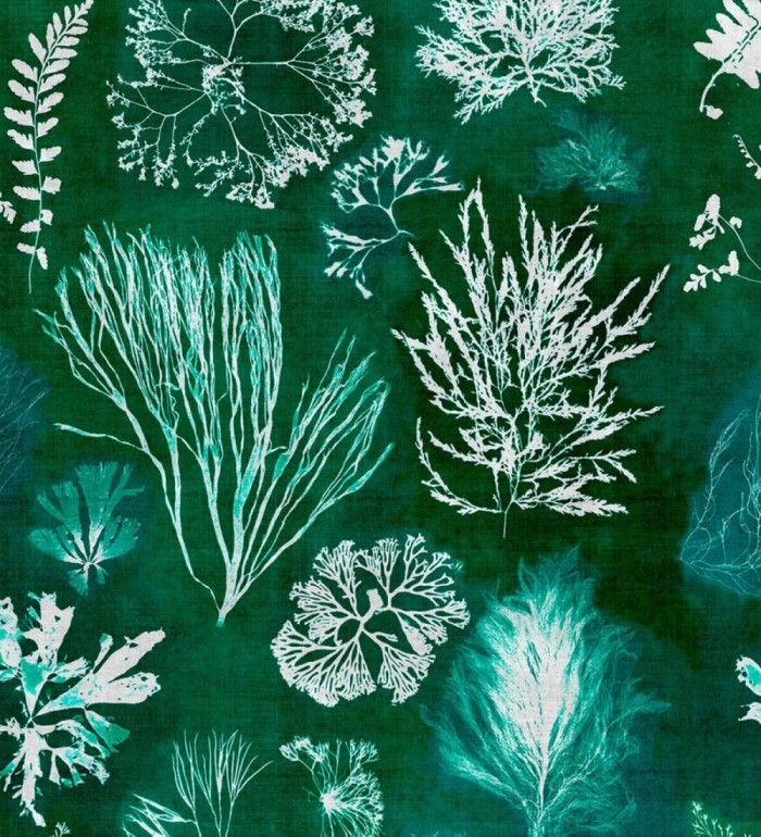 Papel pintado vegetación del fondo del mar verde - Volga Plants 128060