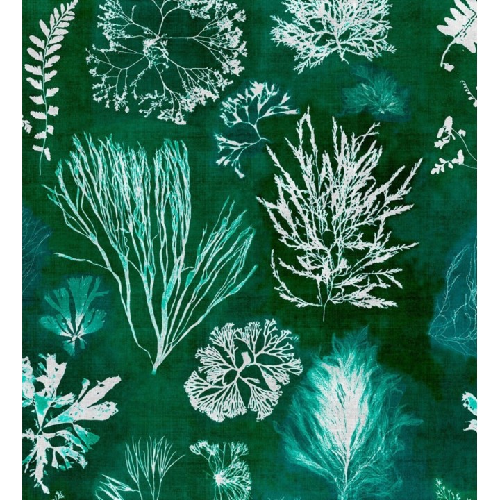 Papel pintado vegetación del fondo del mar verde - Volga Plants 128060
