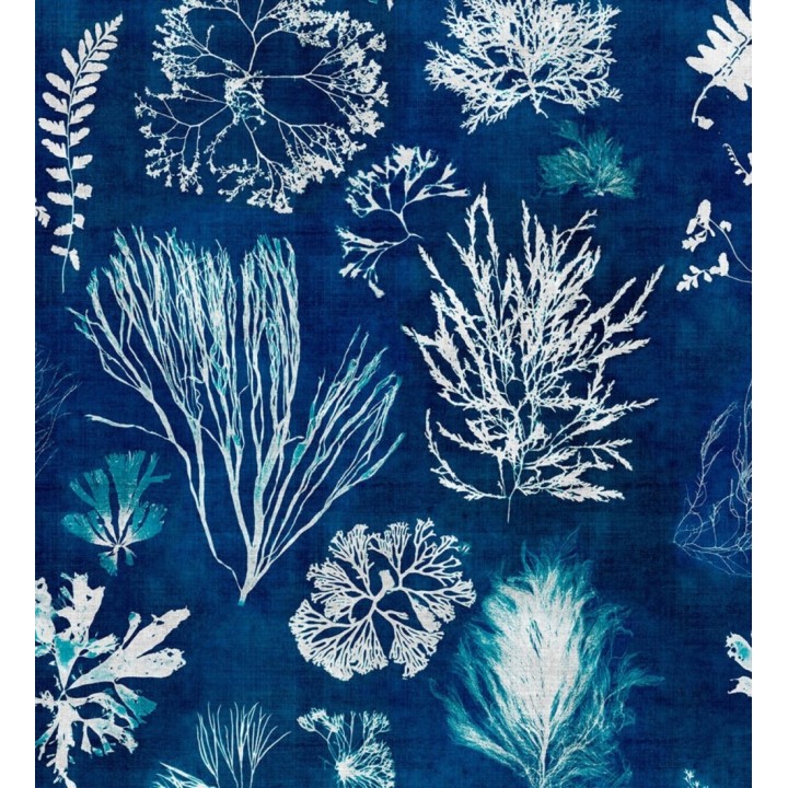 Papel pintado vegetación del fondo del mar azul - Volga Plants 128061