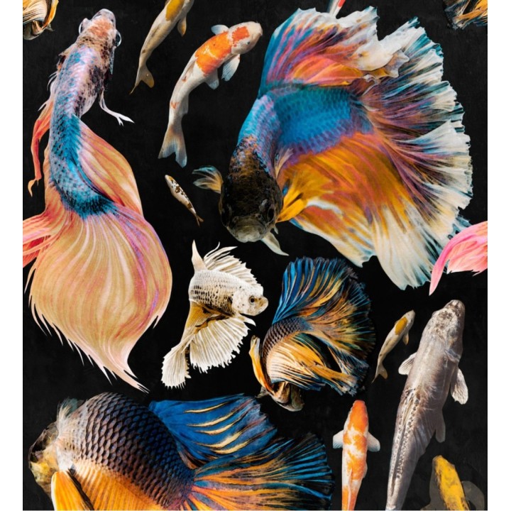 Papel pintado peces japoneses multicolor - Kumanomi 128065