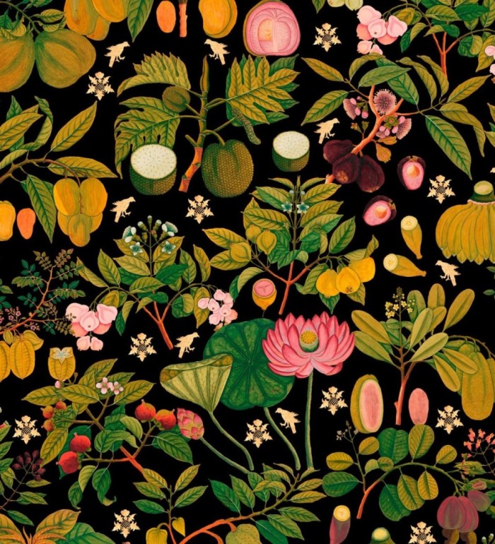 Papel pintado jardín floral moderno fondo oscuro - Ava Garden 128078