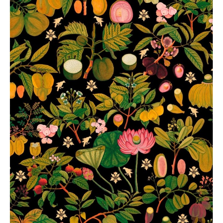 Papel pintado jardín floral moderno fondo oscuro - Ava Garden 128078