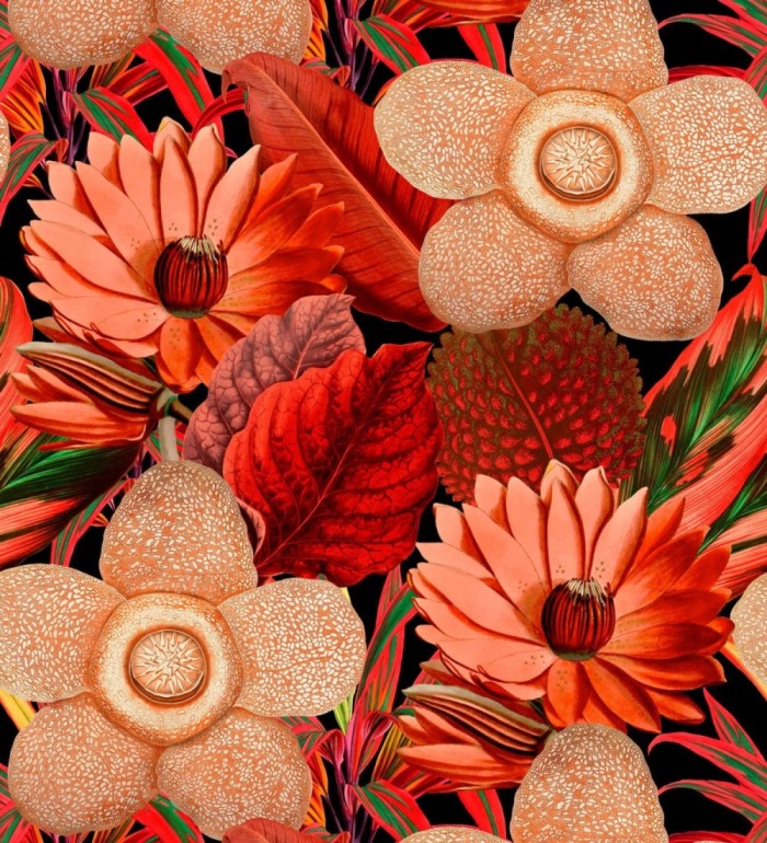 Papel pintado flores grandes tonos rojos fondo oscuro - Chiara Blossom 128080