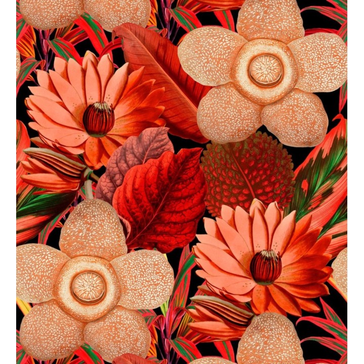 Papel pintado flores grandes tonos rojos fondo oscuro - Chiara Blossom 128080