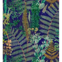 Feriga Forest 128082