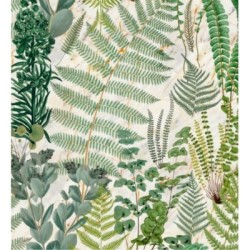 Feriga Forest 128083