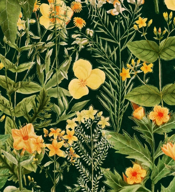 Papel pintado flores amarillas fondo oscuro - Idara Flowers 128086