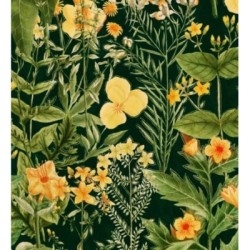 Idara Flowers 128086