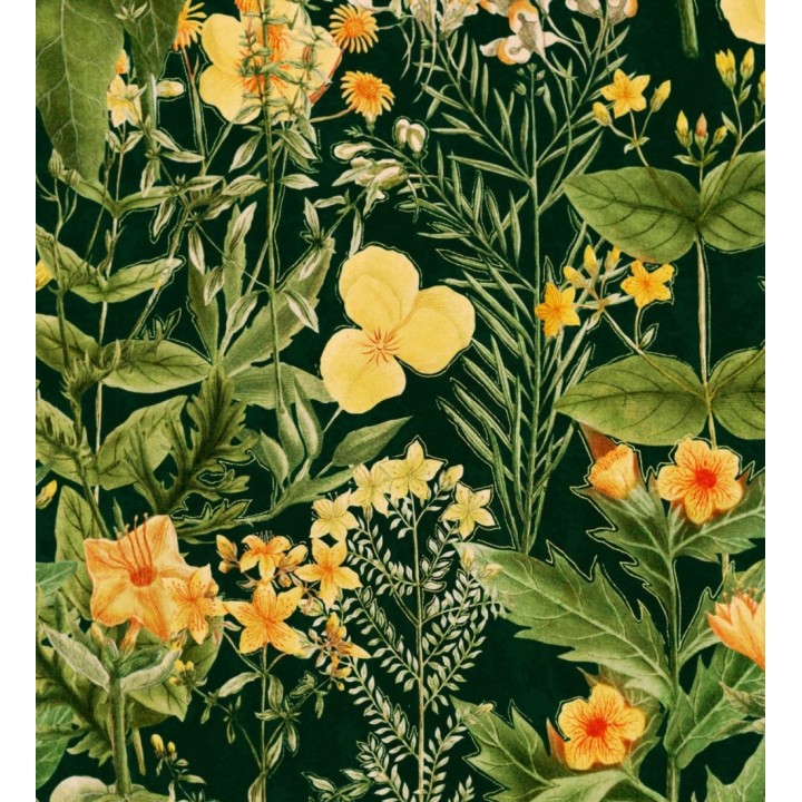 Papel pintado flores amarillas fondo oscuro - Idara Flowers 128086