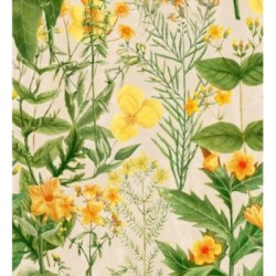 Idara Flowers 128087